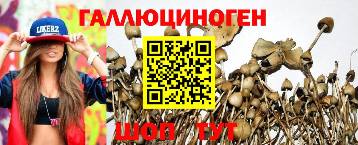 Златоуст  Псилоцибиновые грибы ЛСД  Вход с VPN 
